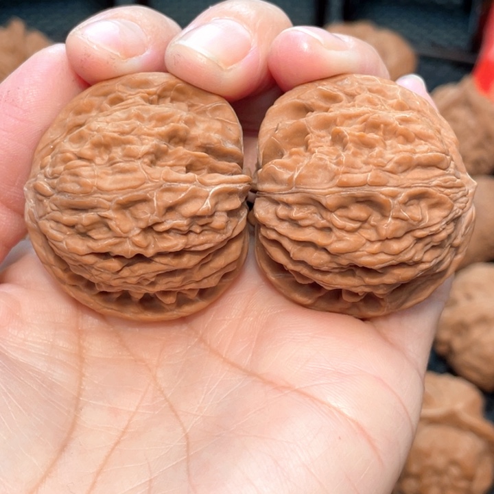 悟天克斯磨盘4.0全品无修