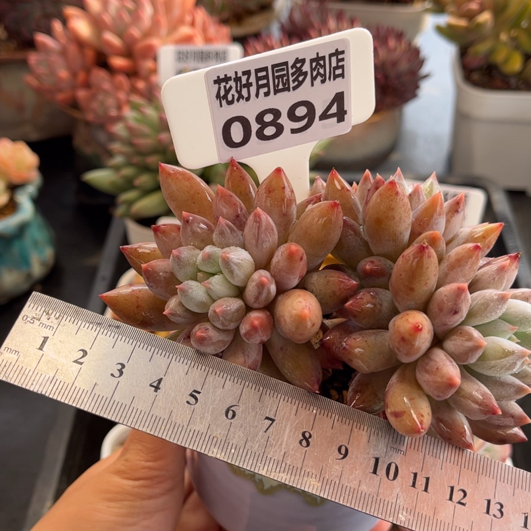 0894 天冷必拍保温箱