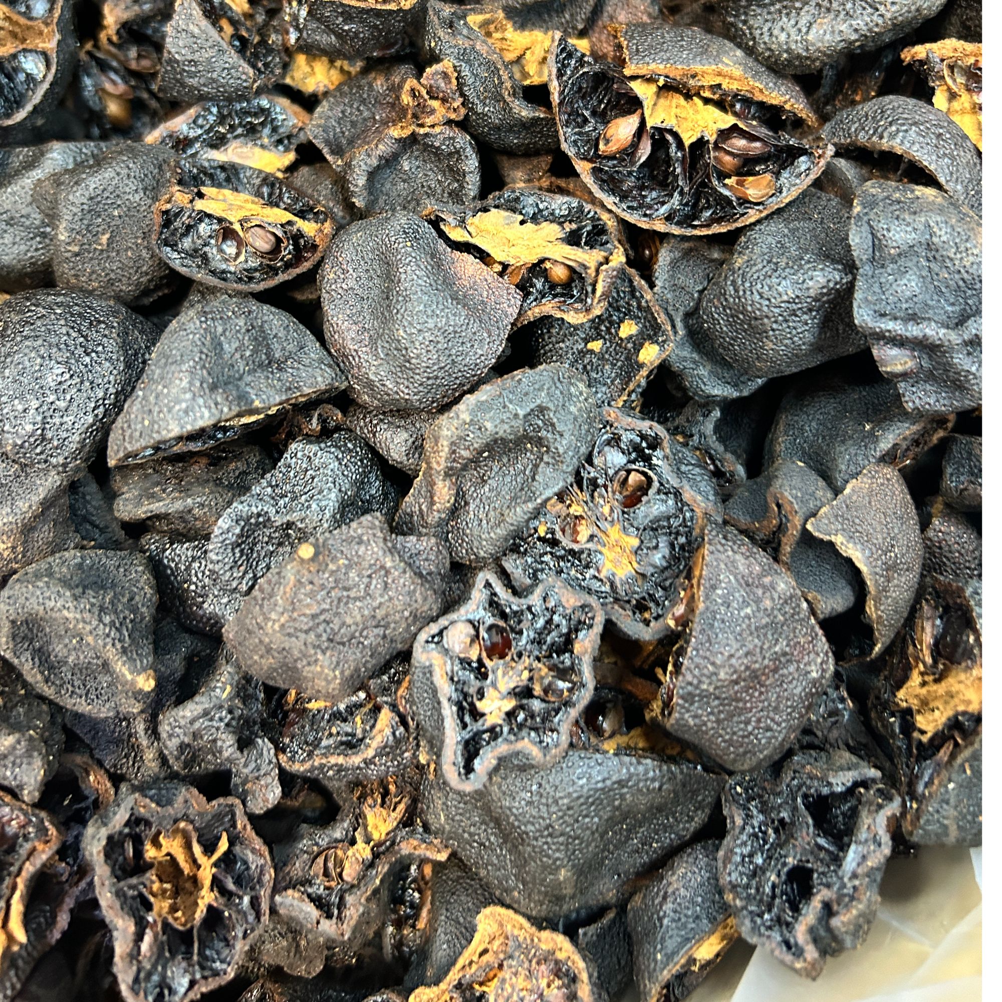 【新会霞姐陈皮】2000年原枝塞口围老柑胎片