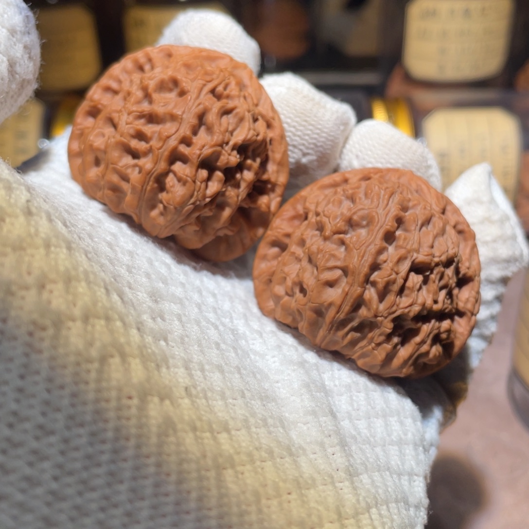 核桃43三角白bbbbbb