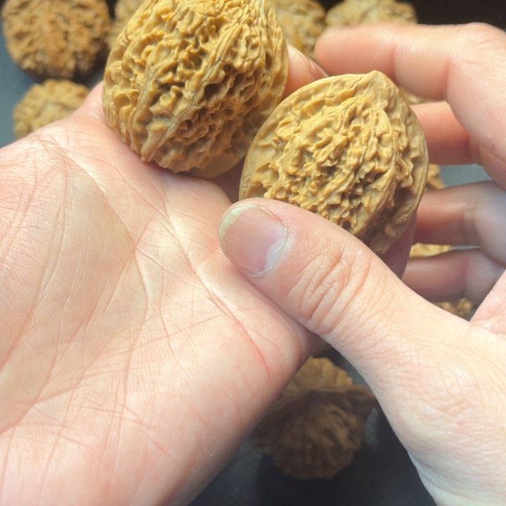 文玩核桃把件文玩城的小伙伴们