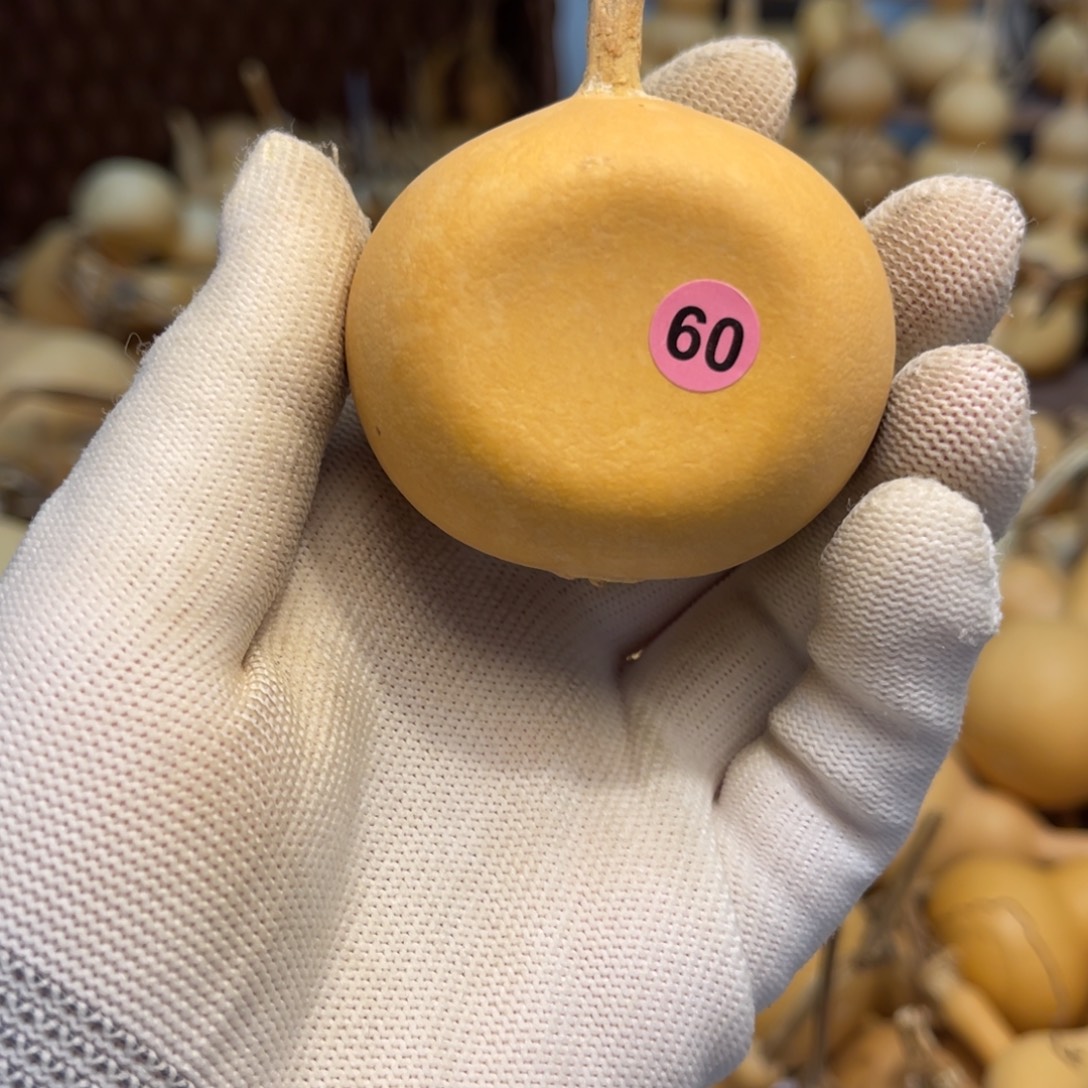 闪拍葫芦链接-60号品