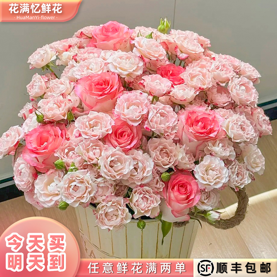 次日达 -【爱莎折射组合】10枝爱莎5枝折射鲜花鲜切花家居花批发任意两单顺丰包邮三单送随机花瓶今天拍明天到