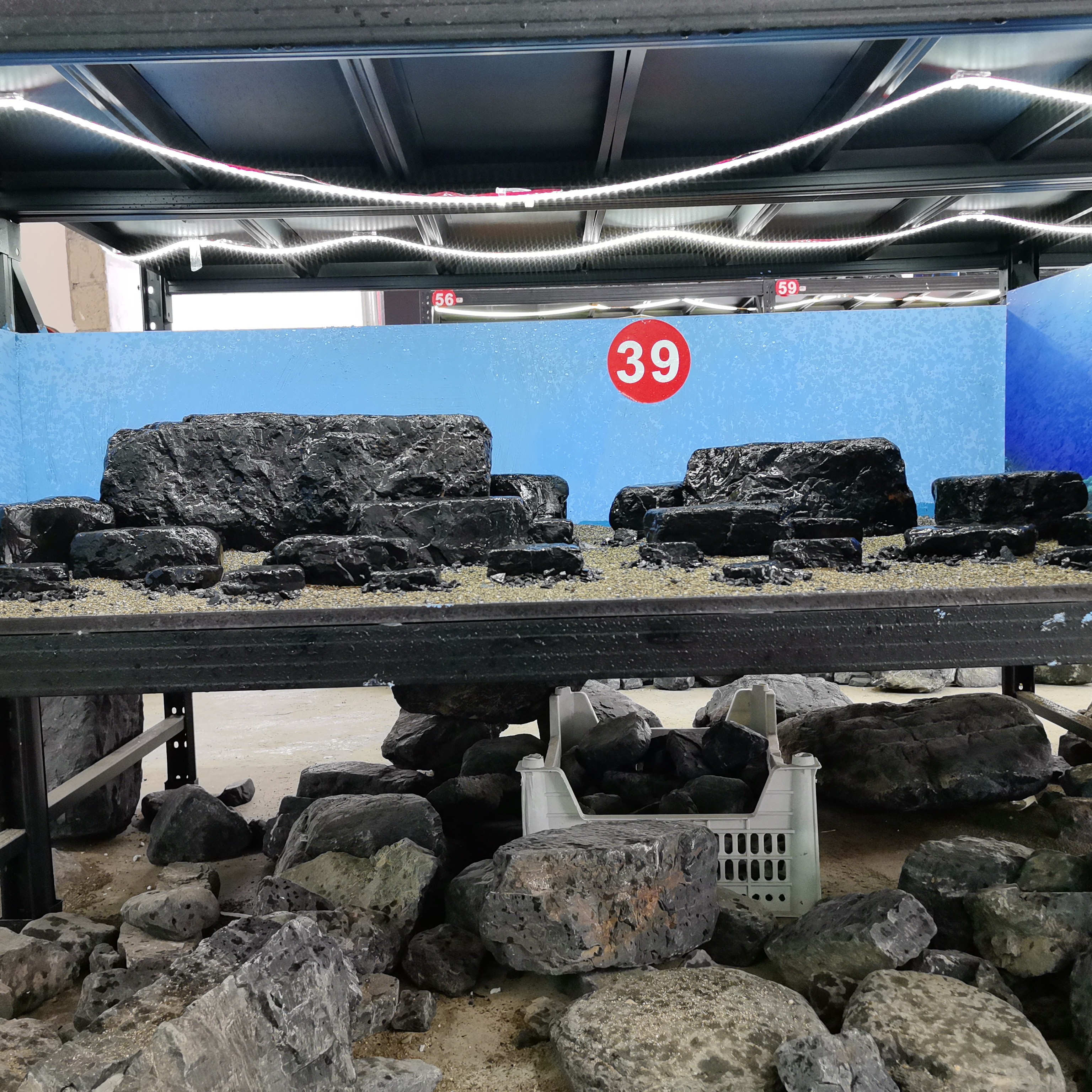 黑金峡谷溪流石（一物一拍）