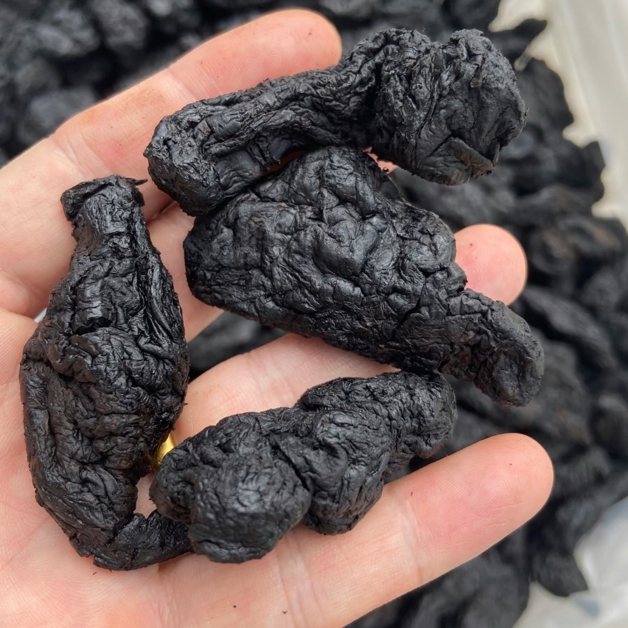 焦作特产熟地黄可直接吃还能煮水煲汤煮粥滋补营养