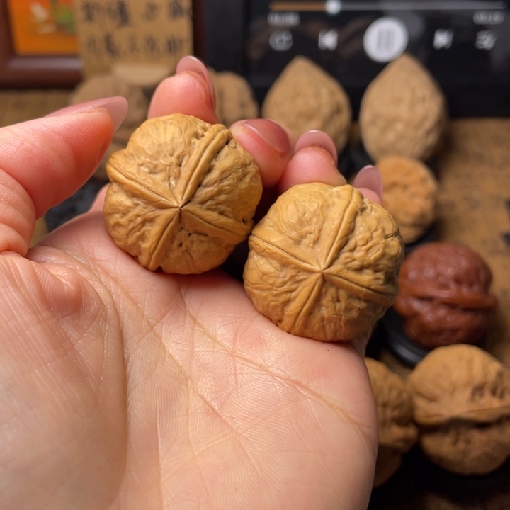 顾***白如图所示一物一拍72