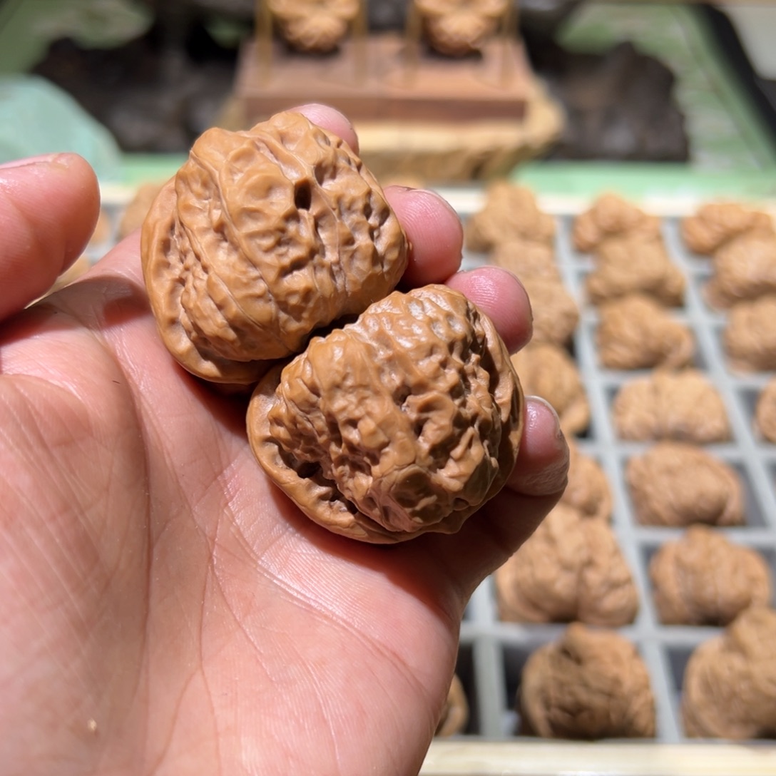 Z***1菩提籽类文玩核桃蛤蟆头