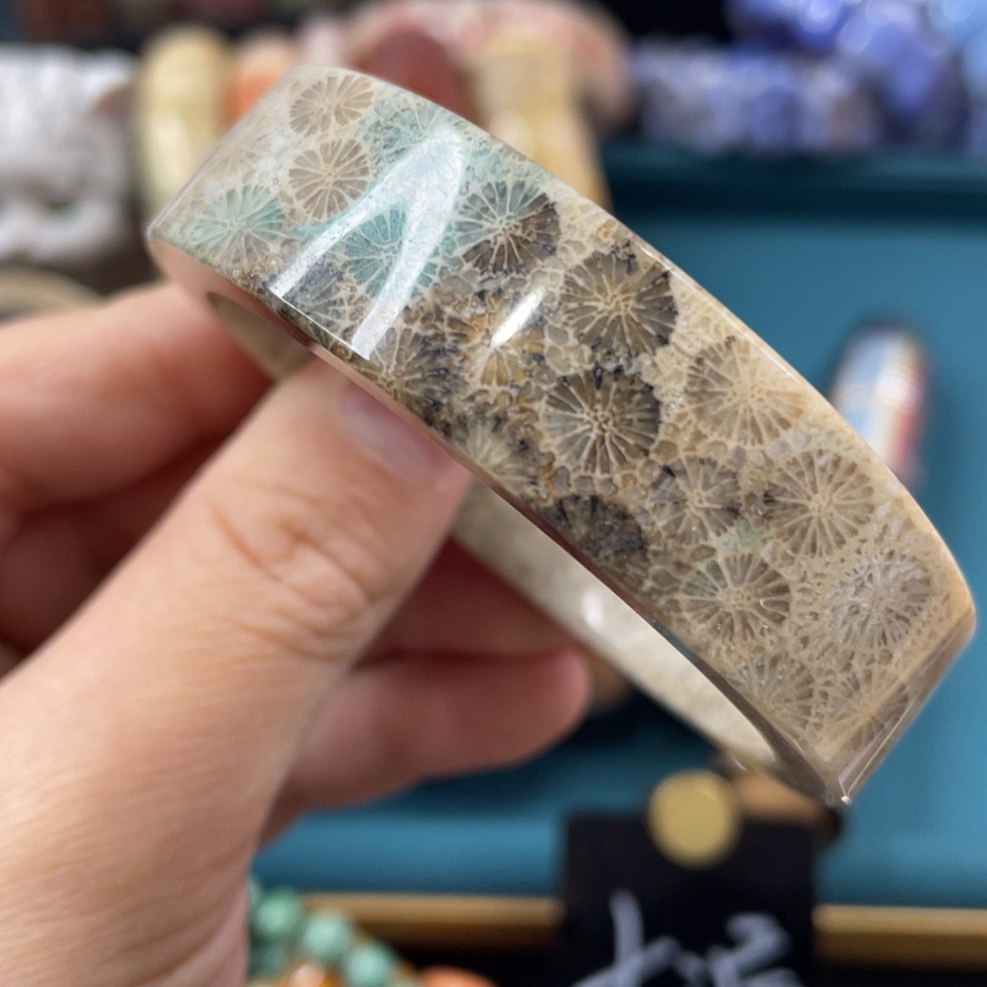 未镶嵌手镯硅化玉