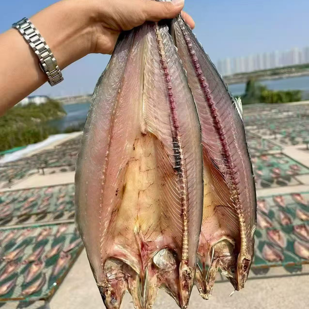 鲅鱼圈香煎鲅鱼一卤鲜咸鲅鱼生鱼真空鲅鱼本海新鲜燕鲅鱼马鲛鱼
