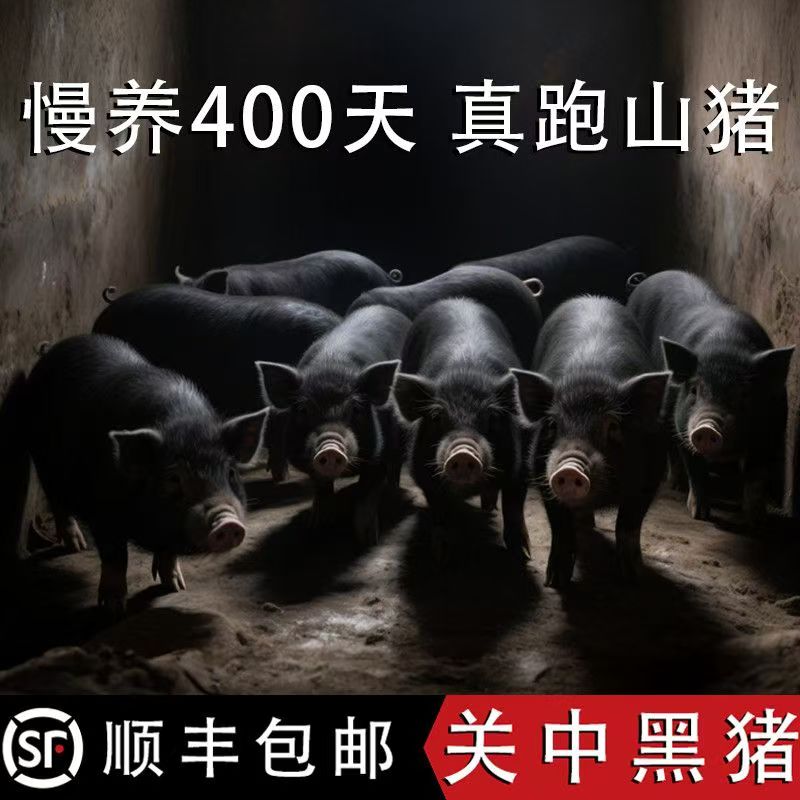 【顺丰冷链】一称一拍贵州安顺黑土猪熟食喂养一年半以上