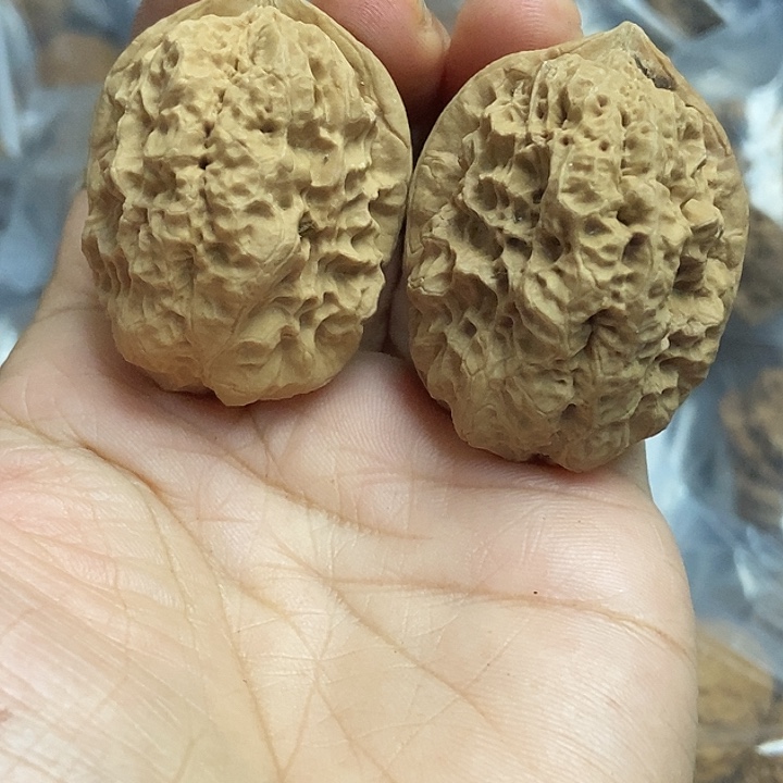 文玩核桃把件云南铁核桃基地14