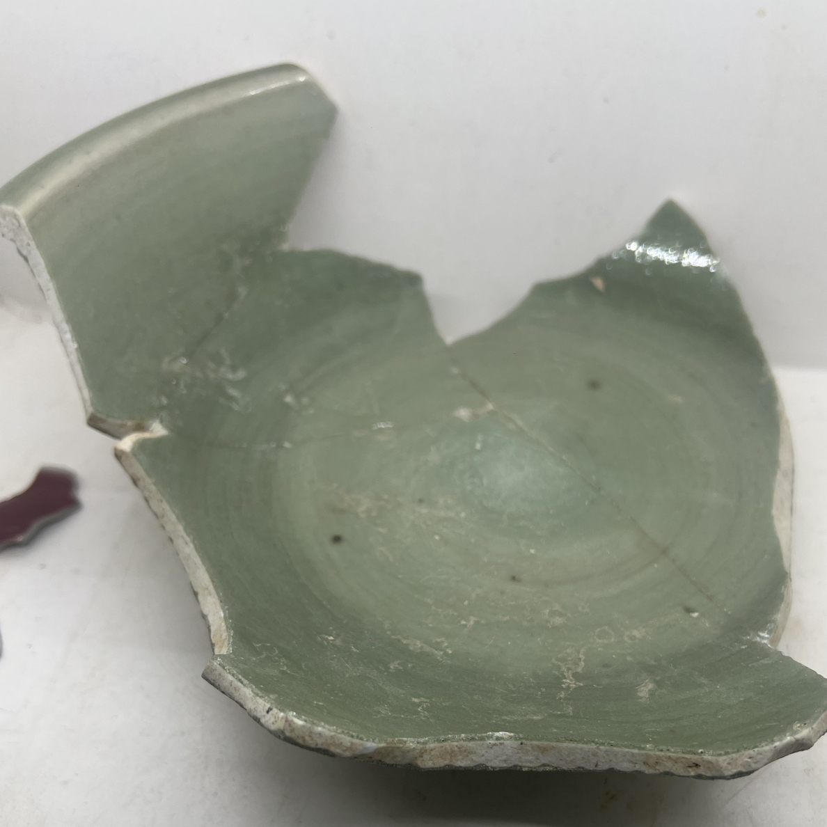 青釉暗刻花卉标本