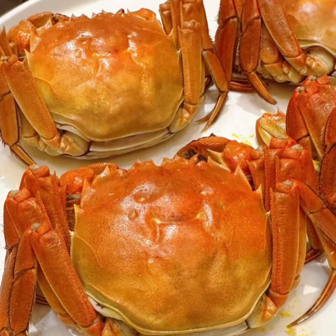 鲜活大闸蟹10只（2两母蟹）