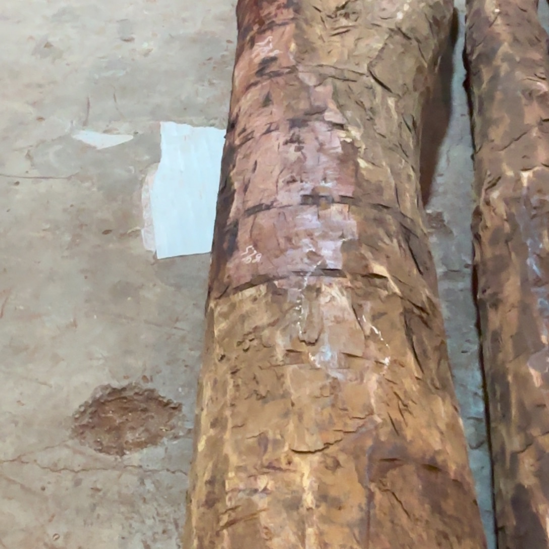 天***1一物一拍血檀编码570