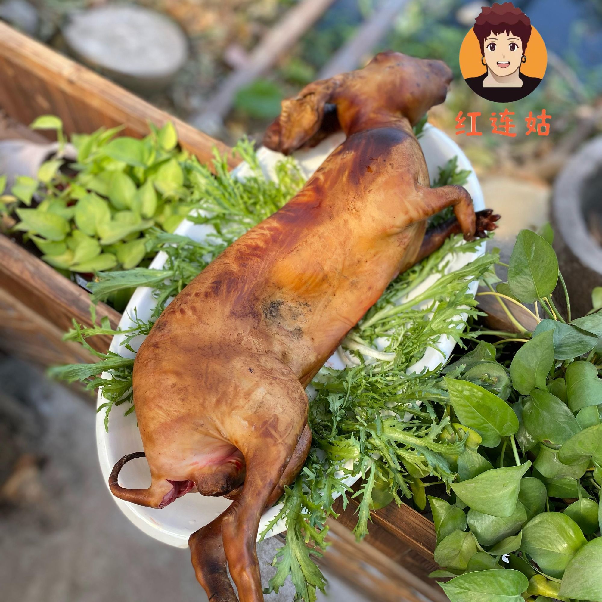 [红姐精选]广宁跑山兔新鲜兔肉现杀现发放养三年斩件整只顺丰快递