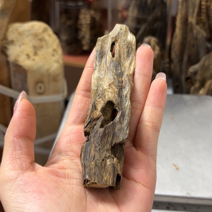 沉香碎屑沉香油叶子品种天然虫漏13克