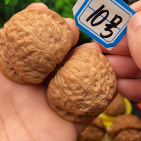 文玩核桃吊坠南瓜墩42