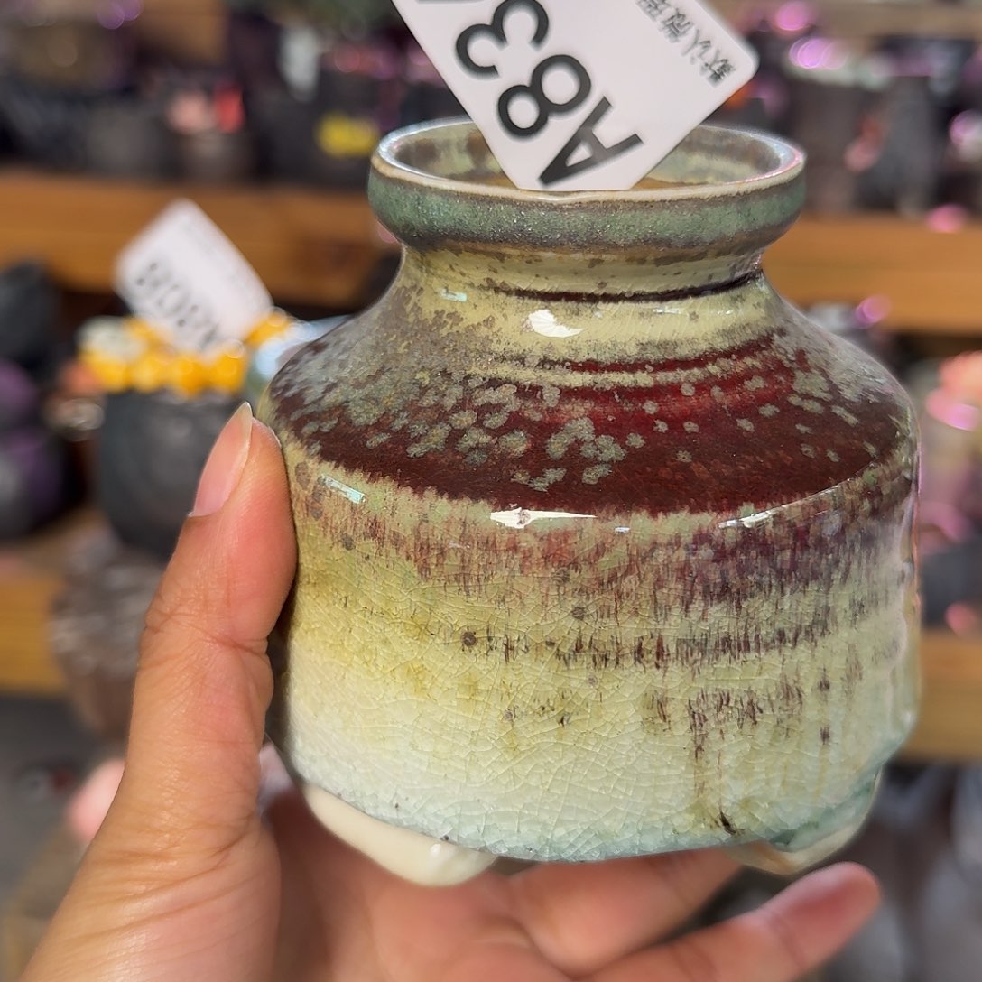 重庆小燕子欢迎大家836