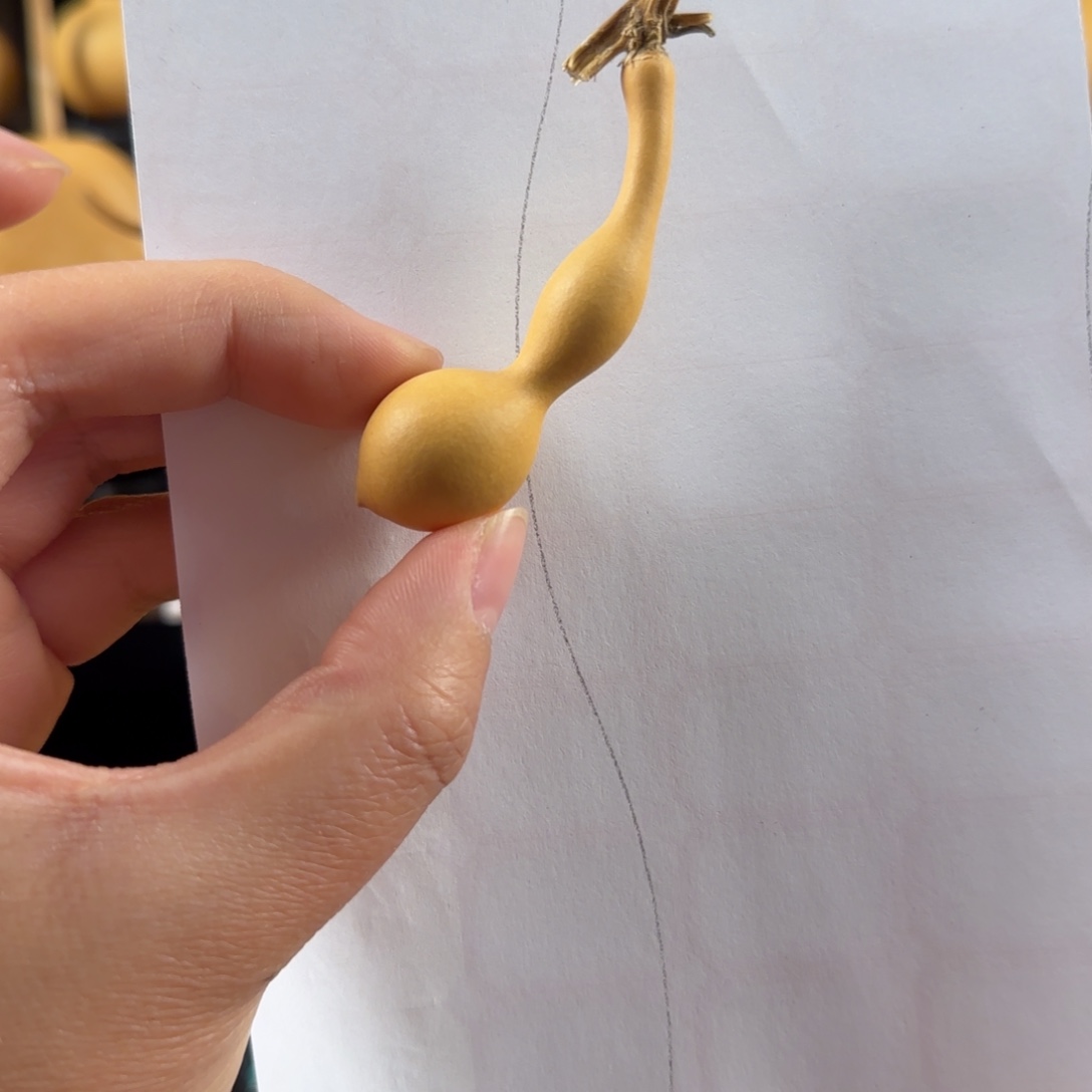 浪***.葫芦葫芦葫芦葫芦葫芦