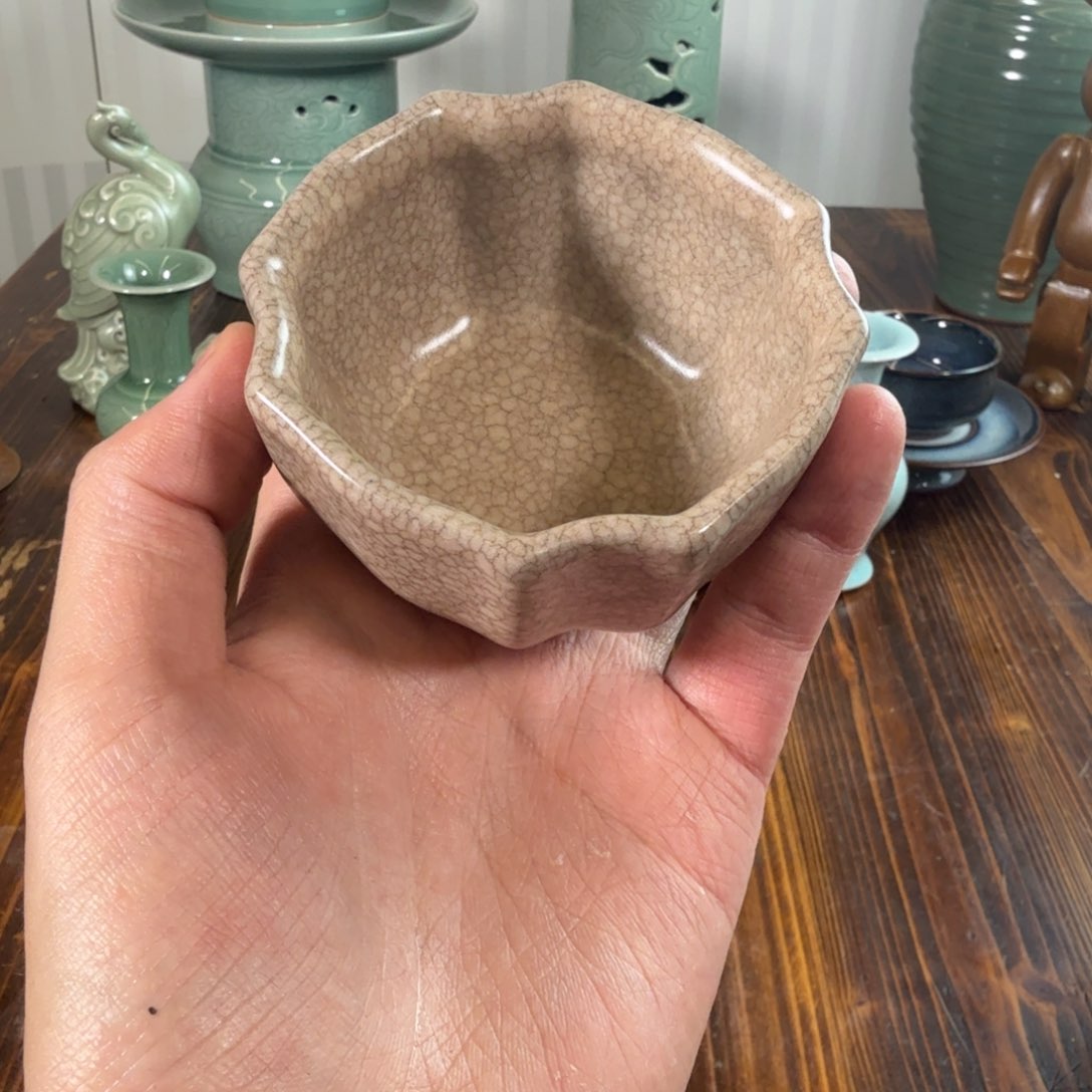 三宝茶器开播福利