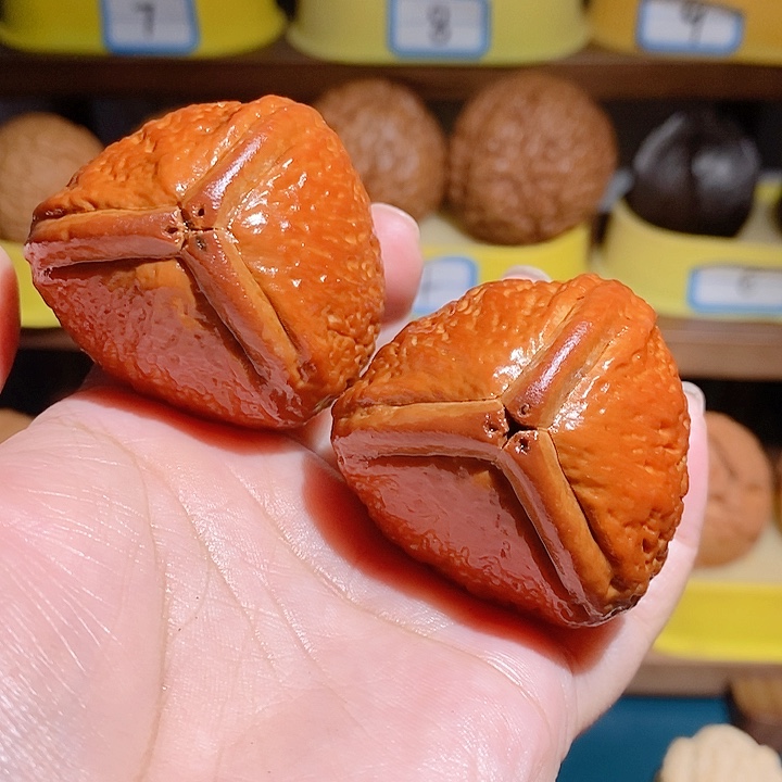 野生大橄榄核雷公核