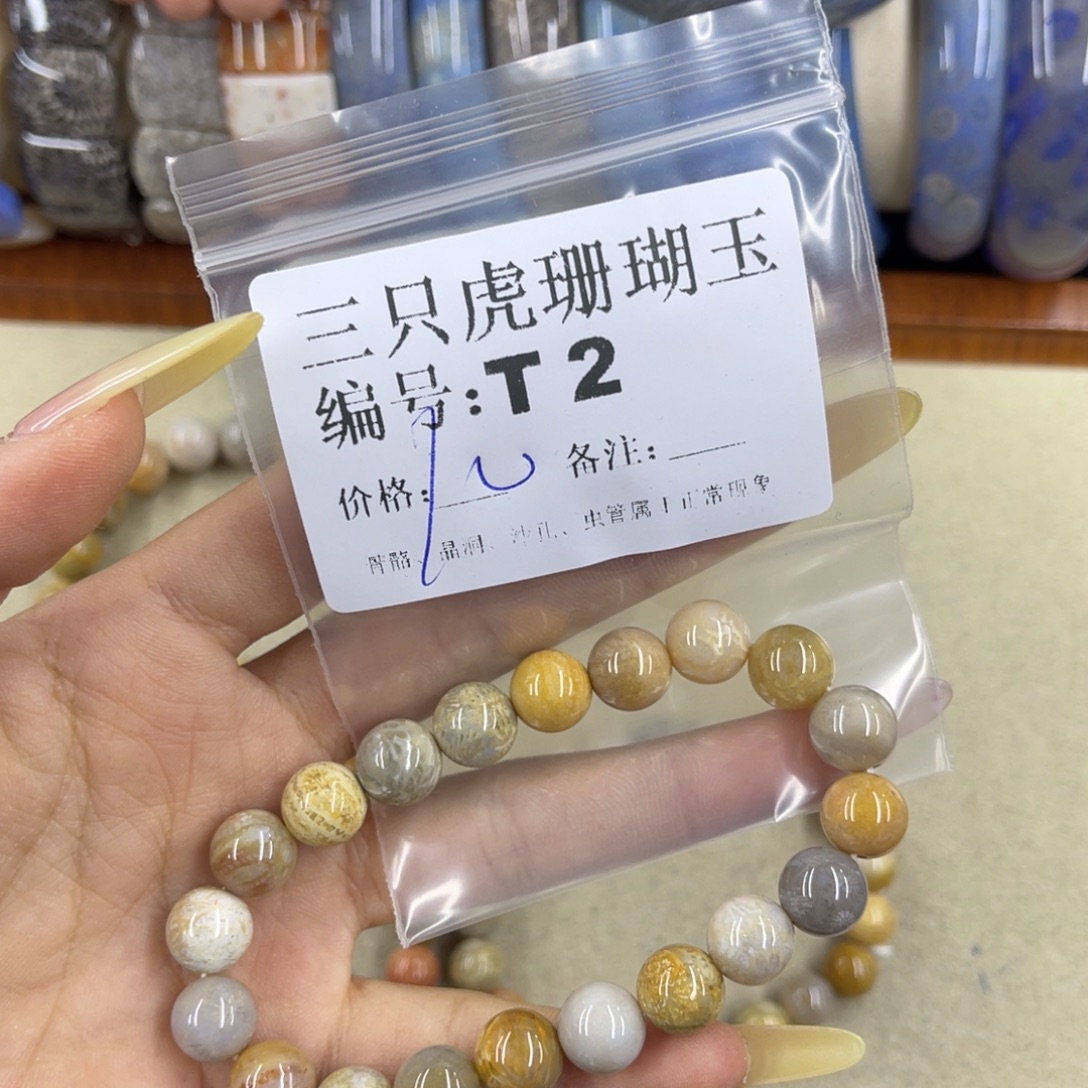 阿***厂硅化珊瑚（珊瑚玉）h未镶嵌