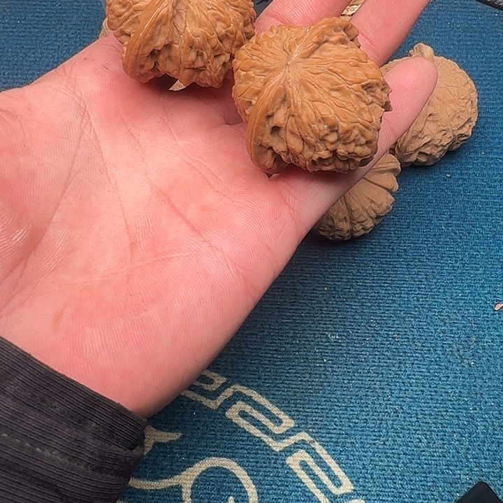 文玩核桃吊坠哈哈哈哈哈哈哈