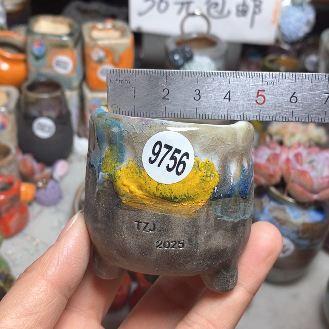 特价处理花盆不退不换，原价28元一个