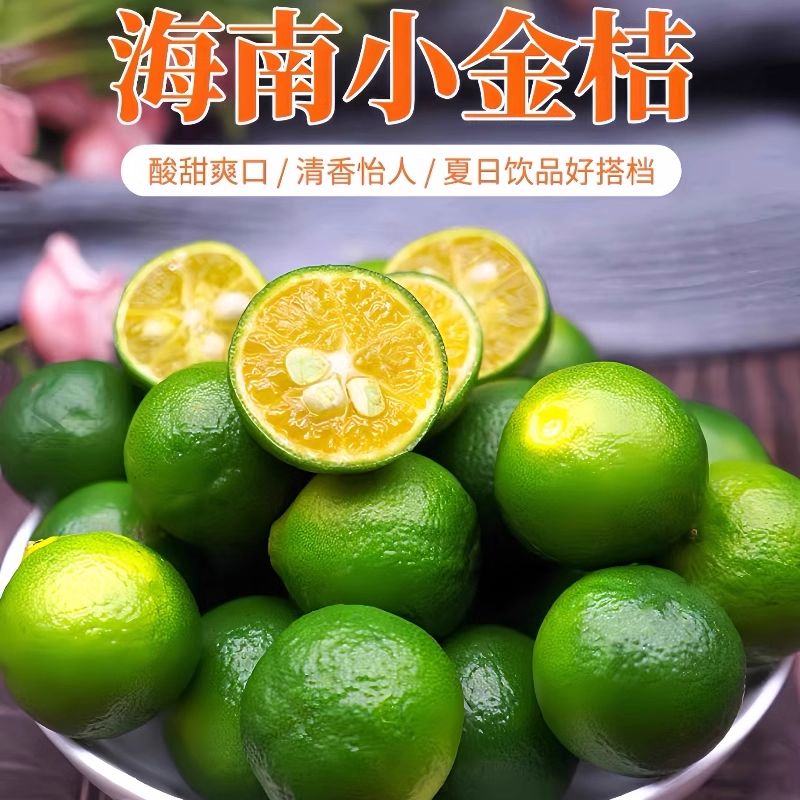 一物一拍海南小青柑青金桔树苗盆栽嫁接苗青柠檬柑橘水果树苗