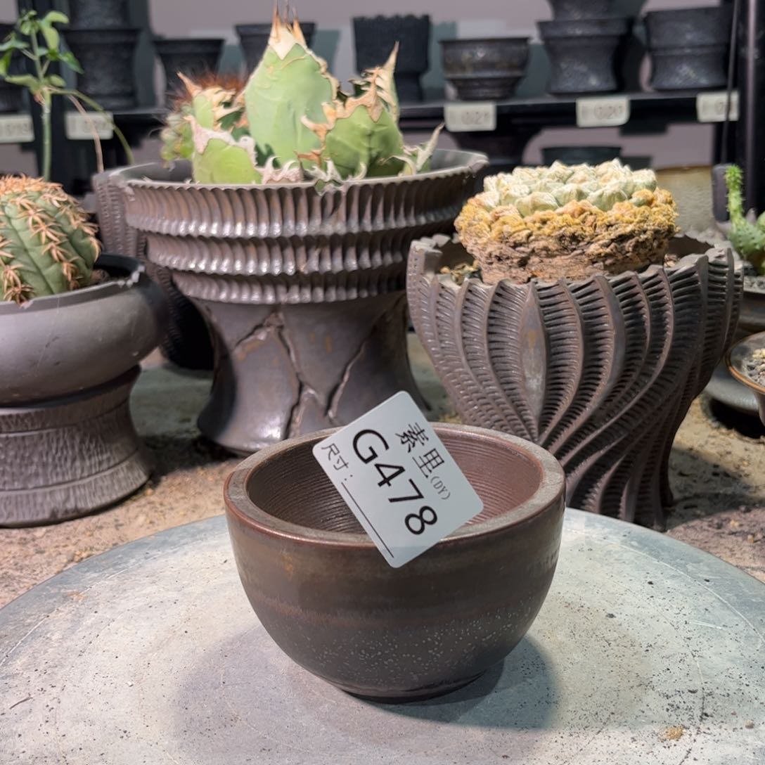 景德镇手工素里内口9高6.5