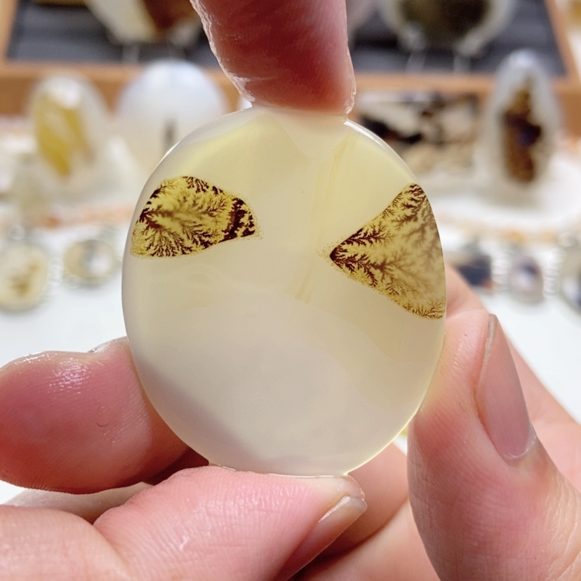 【闪购商品】玛瑙/玉髓颈饰未镶嵌