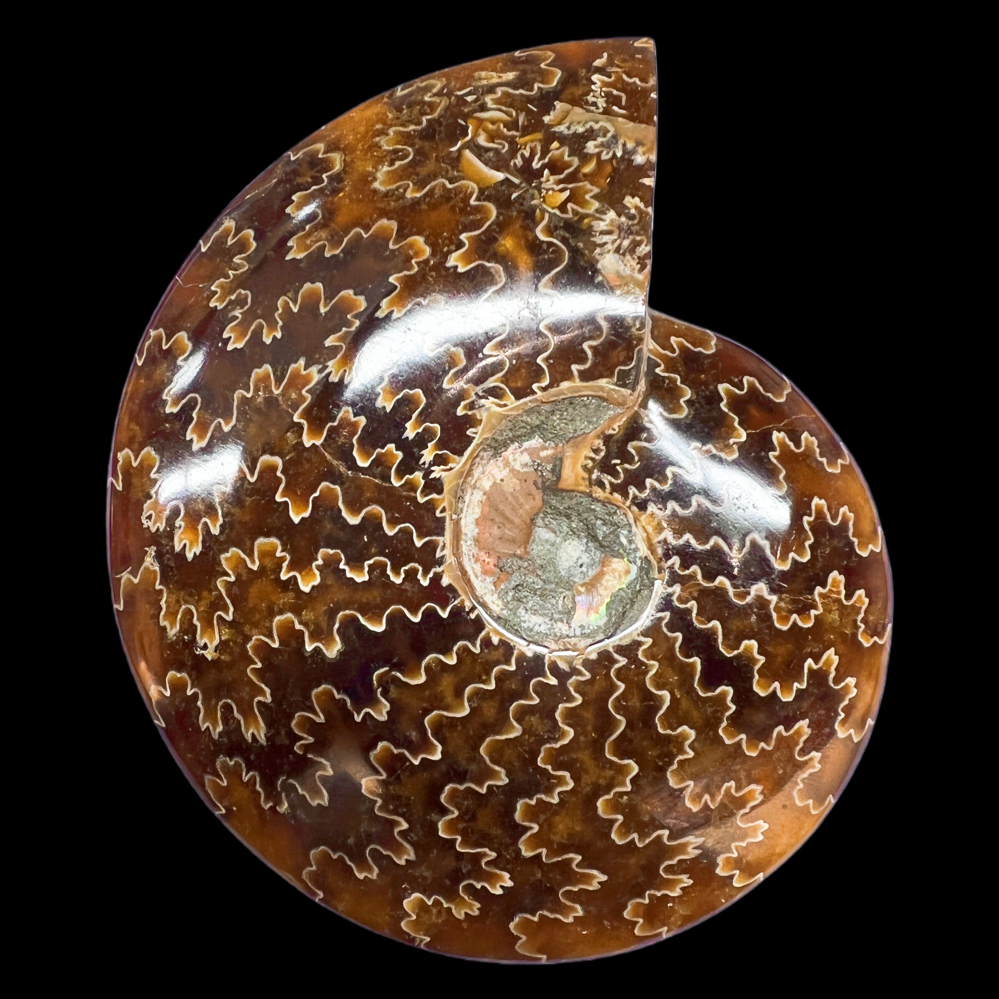 【 叶菊石（摆件）】114.9mm 玉化 马达加斯加 N-50  创意饰品 C97