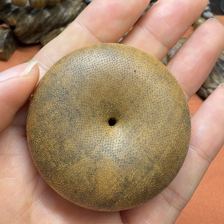 大叶紫檀（黑酸枝木类）