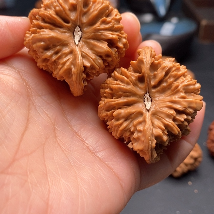 文玩核桃把件百花山45尺