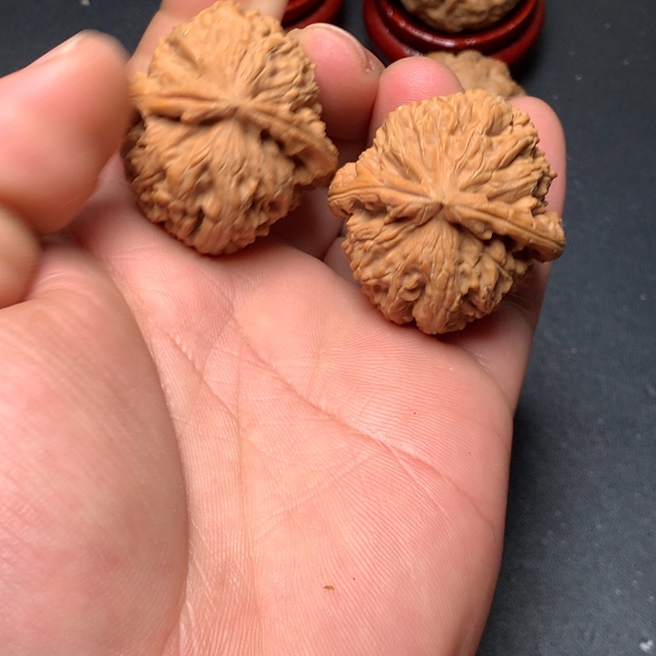 把件文玩核桃37白狮子1130