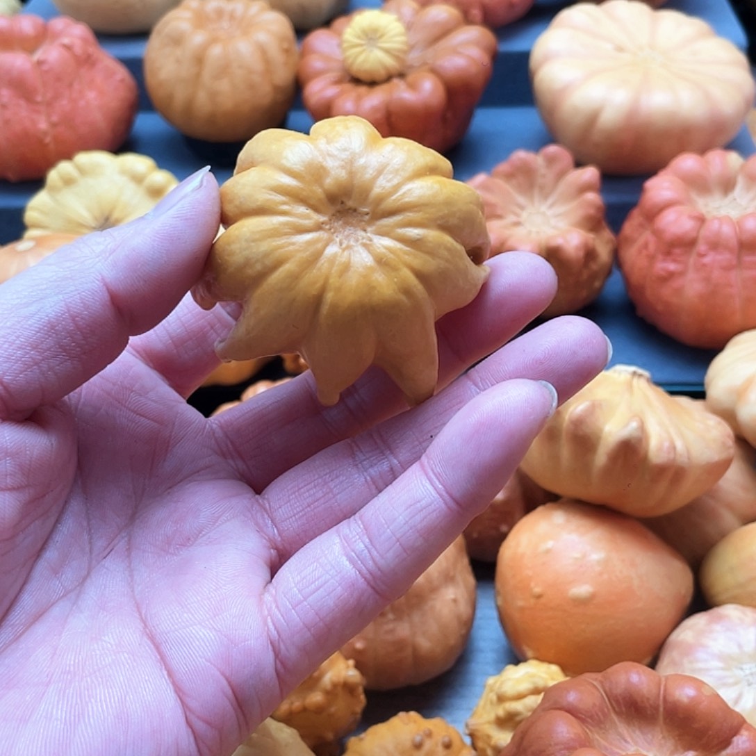 朱***幺墨西哥葫芦小爪爪