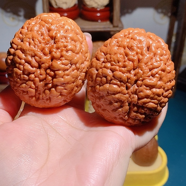 野生三瓣脑纹大金刚虫眼瑕疵款5562