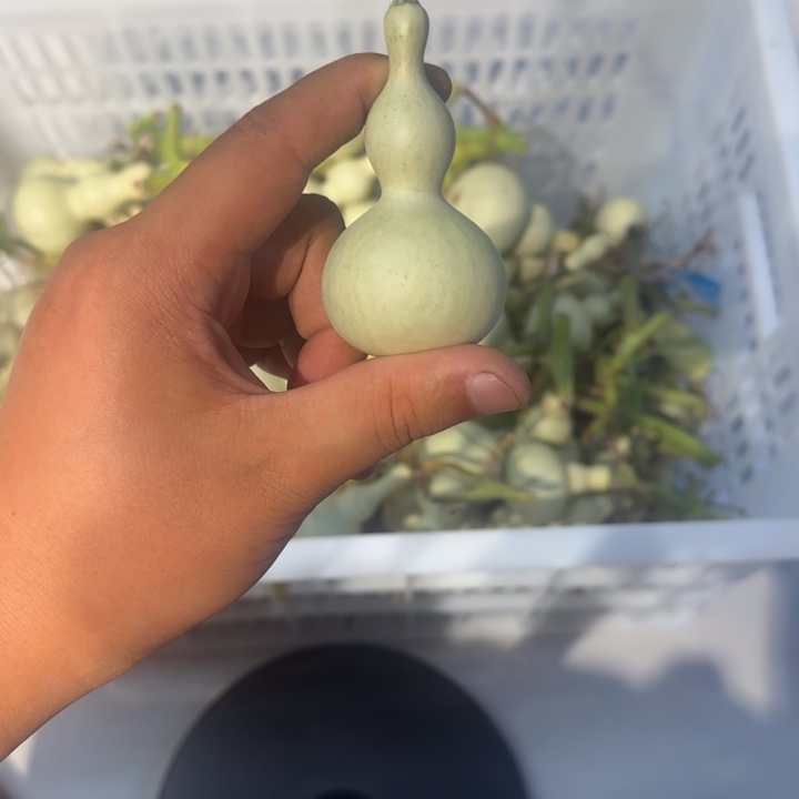 平***樂感谢大哥支持兄弟