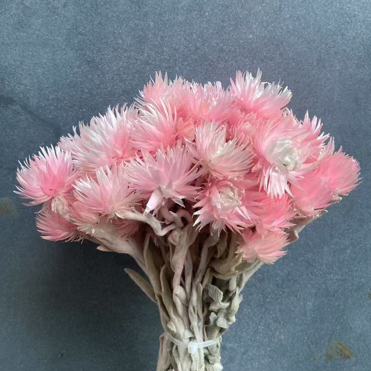 永生进口岩石花干花真花材旱雪莲雏菊手工diy材料9-10g散装