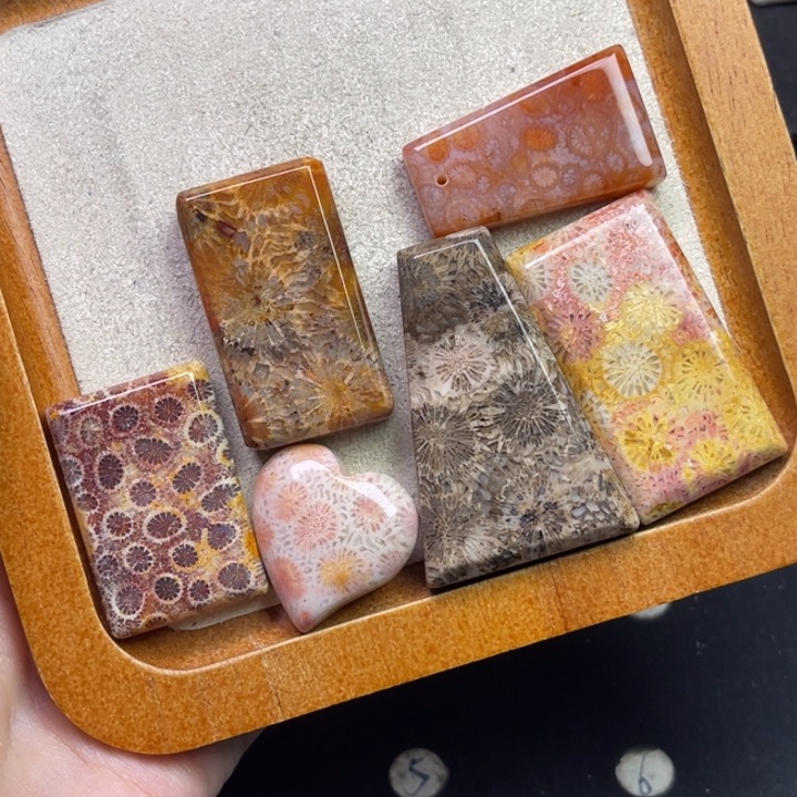 未镶嵌吊坠硅化珊瑚（珊瑚玉）