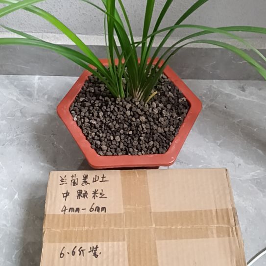 1***8兰菌黑山土中颗粒6.6斤