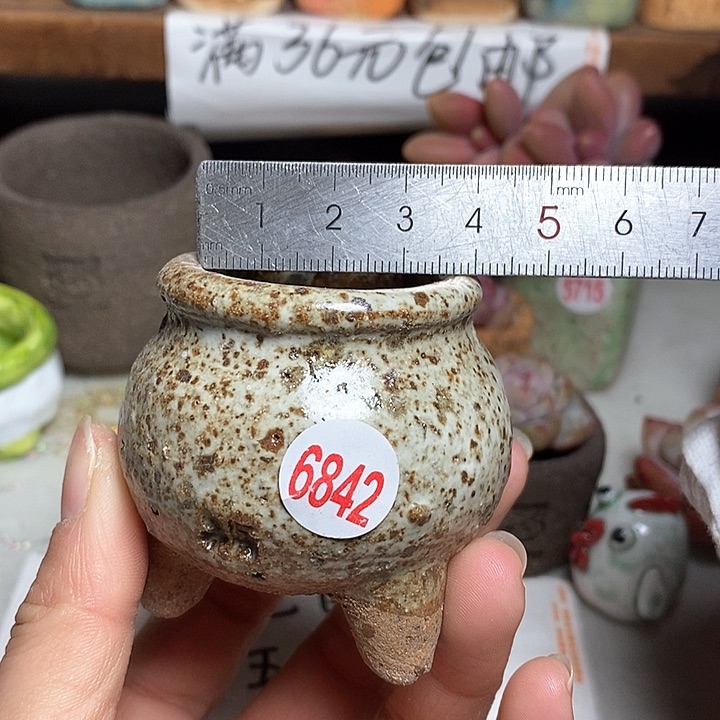 红陶拍5送一个小