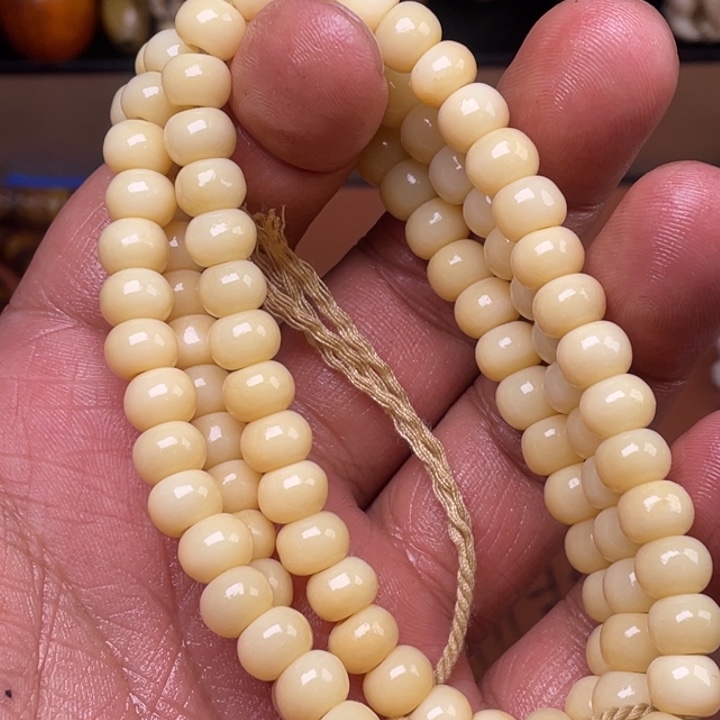 驼骨其他人工养殖