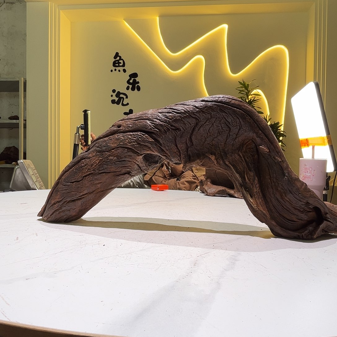 瓦当龚**財会黄黑红水959。57 10 21