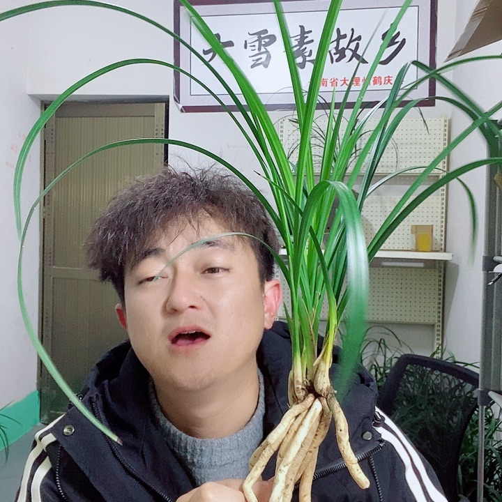 完全开放大大雪素