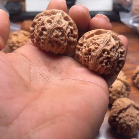 文玩核桃把件宫灯