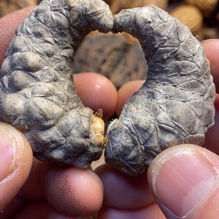 桃核吊坠东北特产126