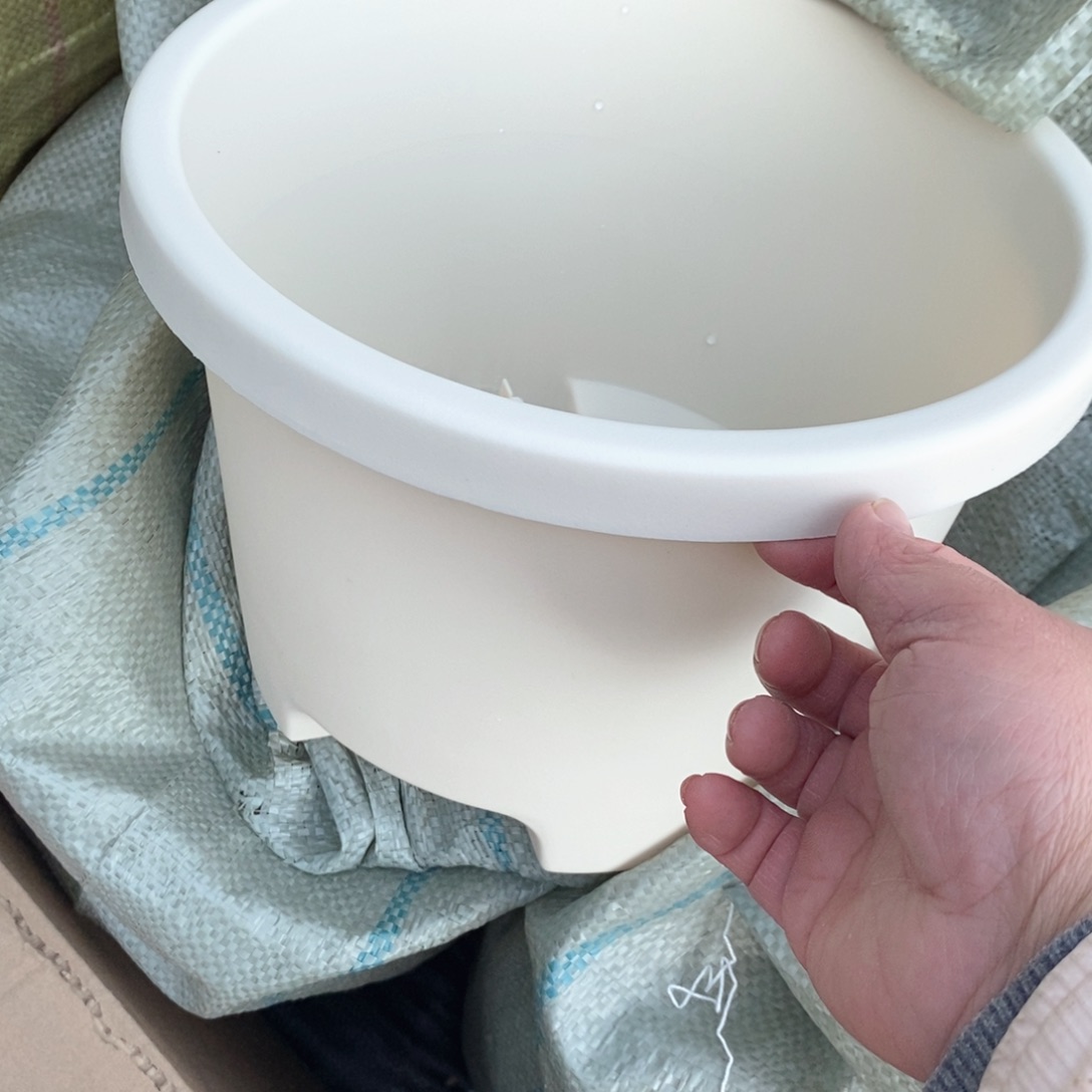 树脂晗*8个球根方米色无托