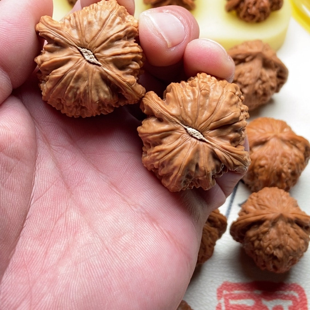 核桃手串/手链41全品白狮子