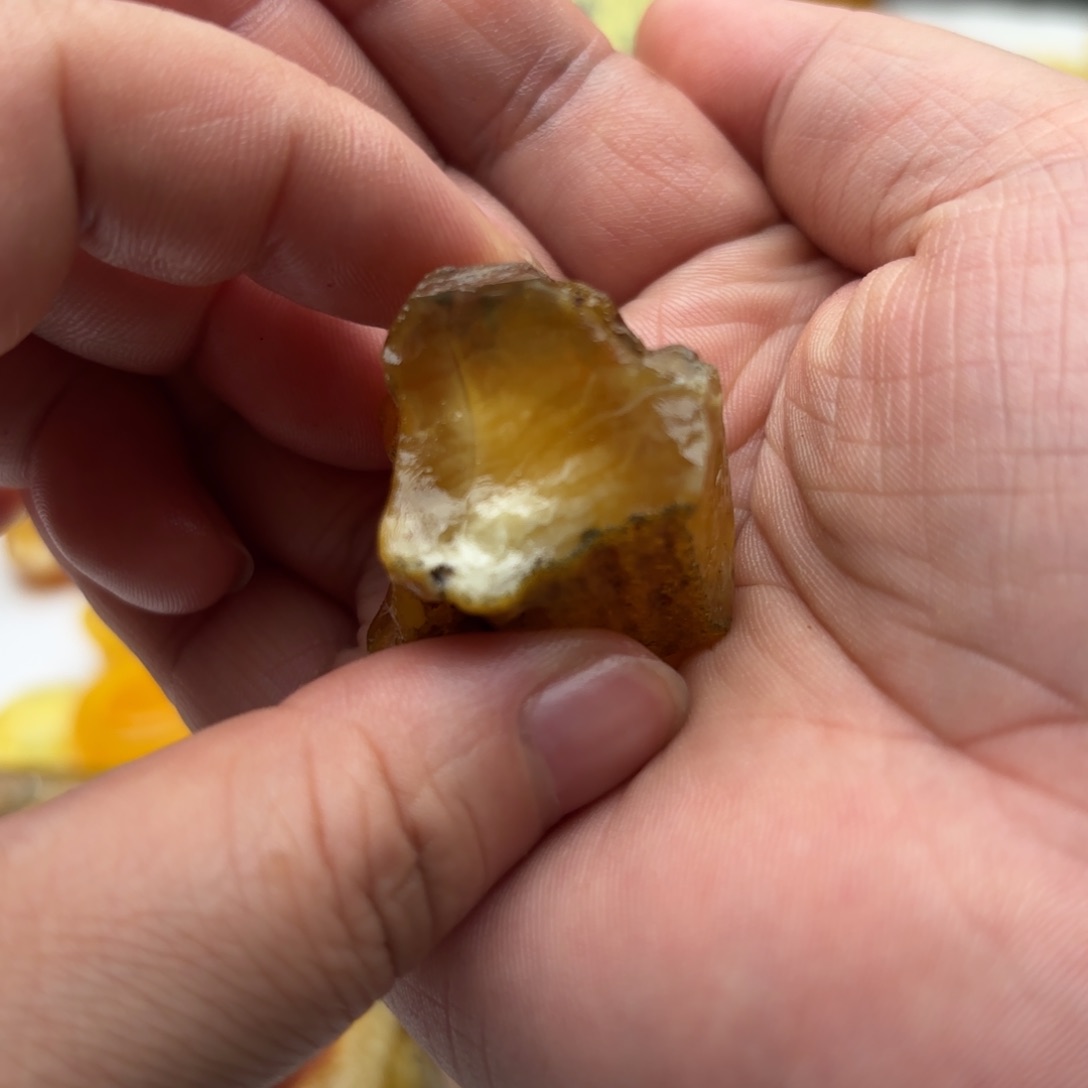 定制琥珀未镶嵌L**g琥珀